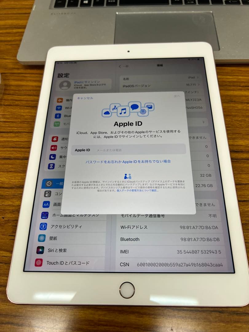 Apple iPad Pro9.7 32Gb Bypass バイパス品