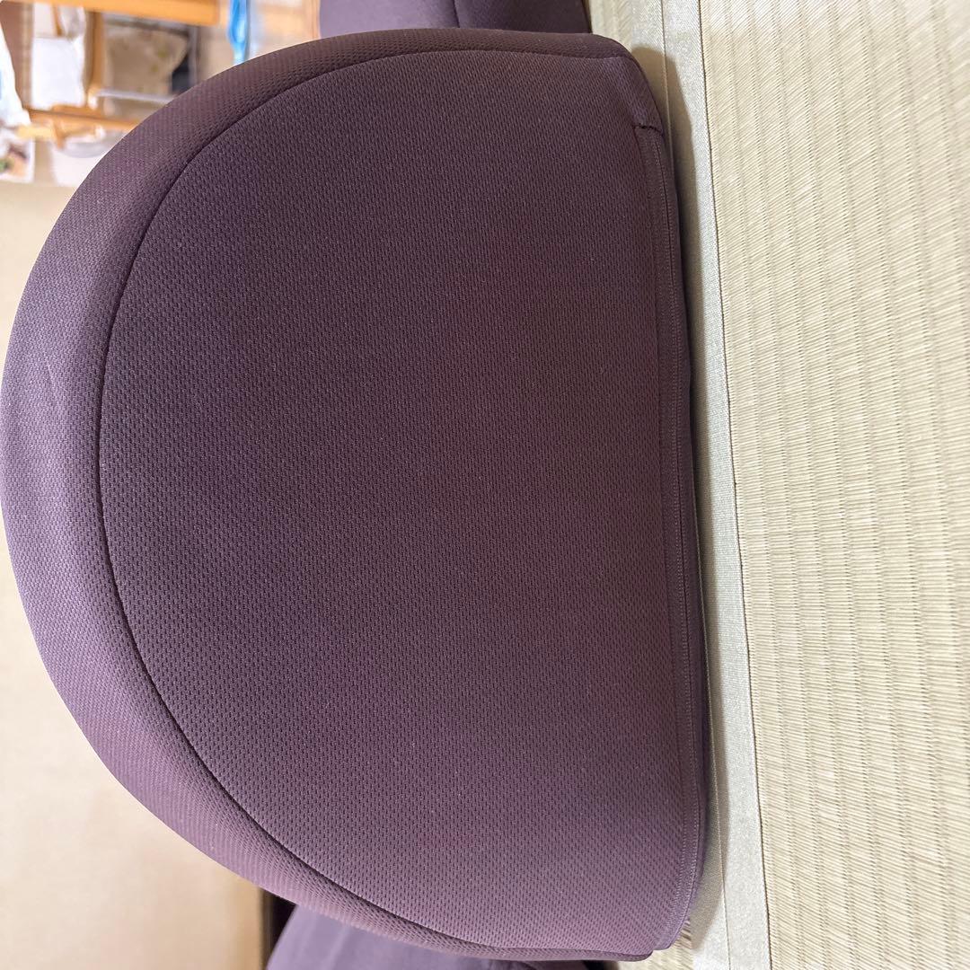 姿勢矯正クッション ダークパープル