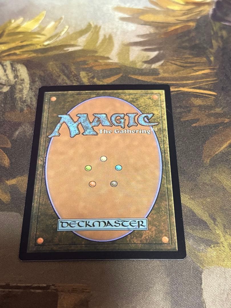 MTG 死者の原野 英語 foil