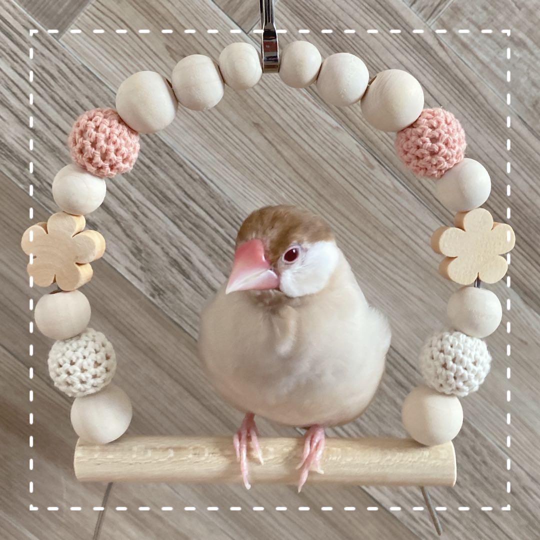 【ちら】ことりのあそびば　Aタイプ