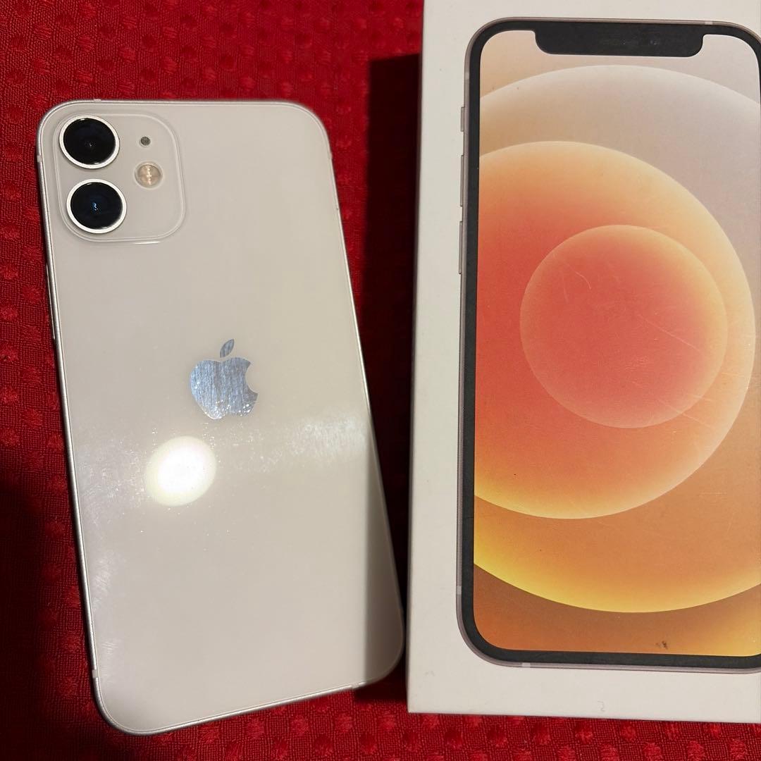 iPhone 12 mini 【256GB】