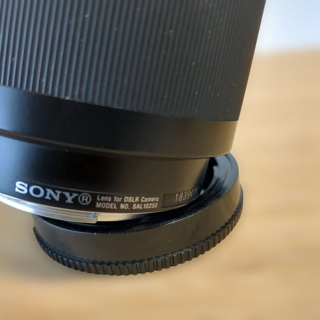 SONY α Aマウント DT 18-250mm SAL18250 美品