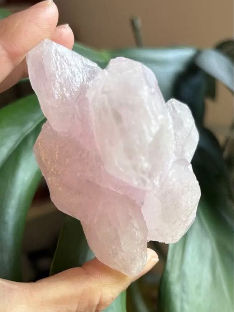 Elestial Rose Quartzローズクォーツエレスチャル　コロンビア