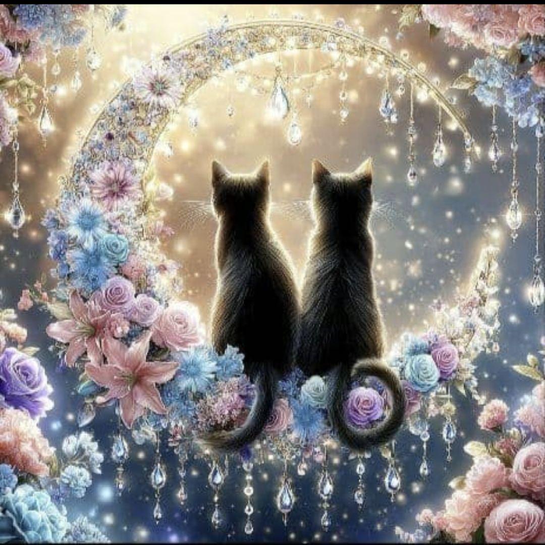 ラヴィ　虹猫本舗