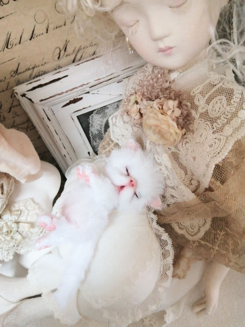 ちっちゃなおねむちゃん♡エキゾチックベビー♡子猫♡アートドール♡ぬいぐるみ♡