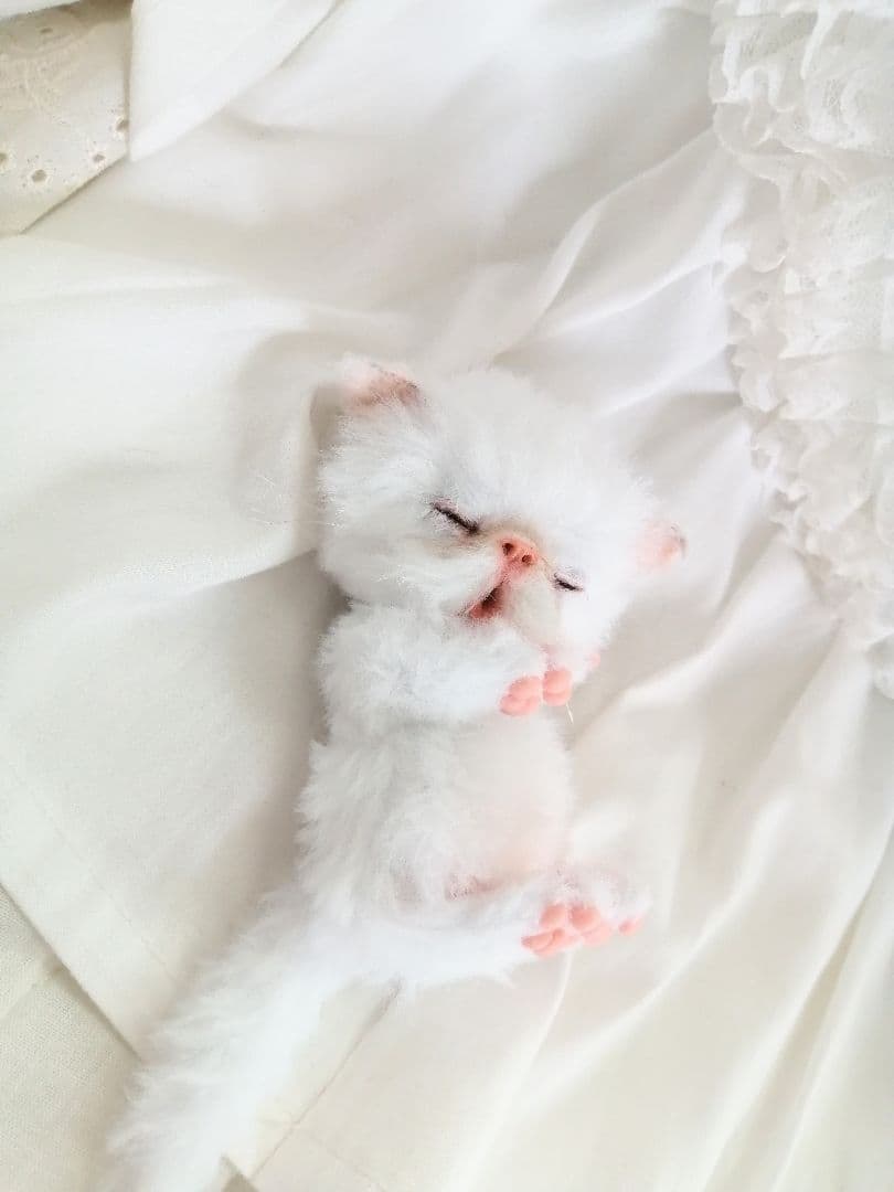 ちっちゃなおねむちゃん♡エキゾチックベビー♡子猫♡アートドール♡ぬいぐるみ♡