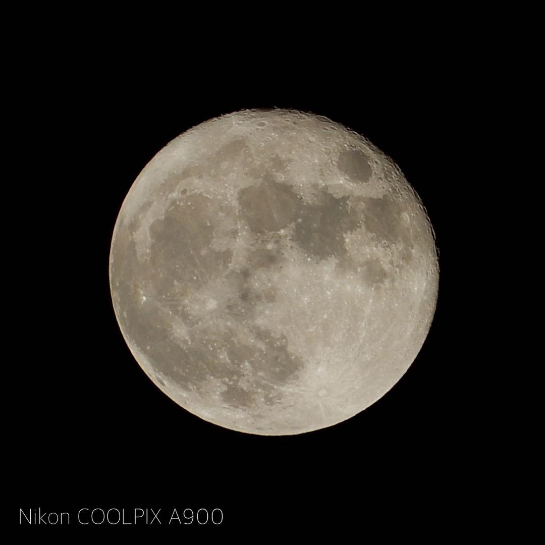 【Nikon COOLPIX A900】光学35倍 SDカード&ケース付