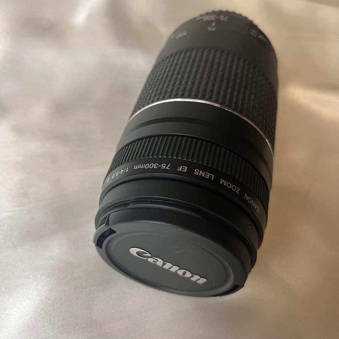 【中古美品】Canon EF 75-300望遠ズームレンズ 傷汚れなし