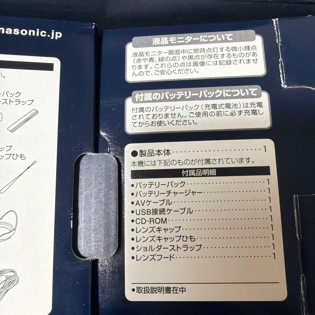 【付属品完品】Panasonic LUMIX DMC-FZ100