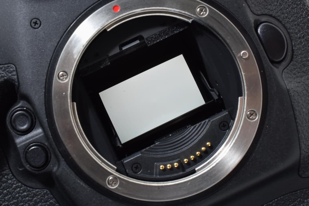 CANON キャノン EOS-1D X Mark II #D059