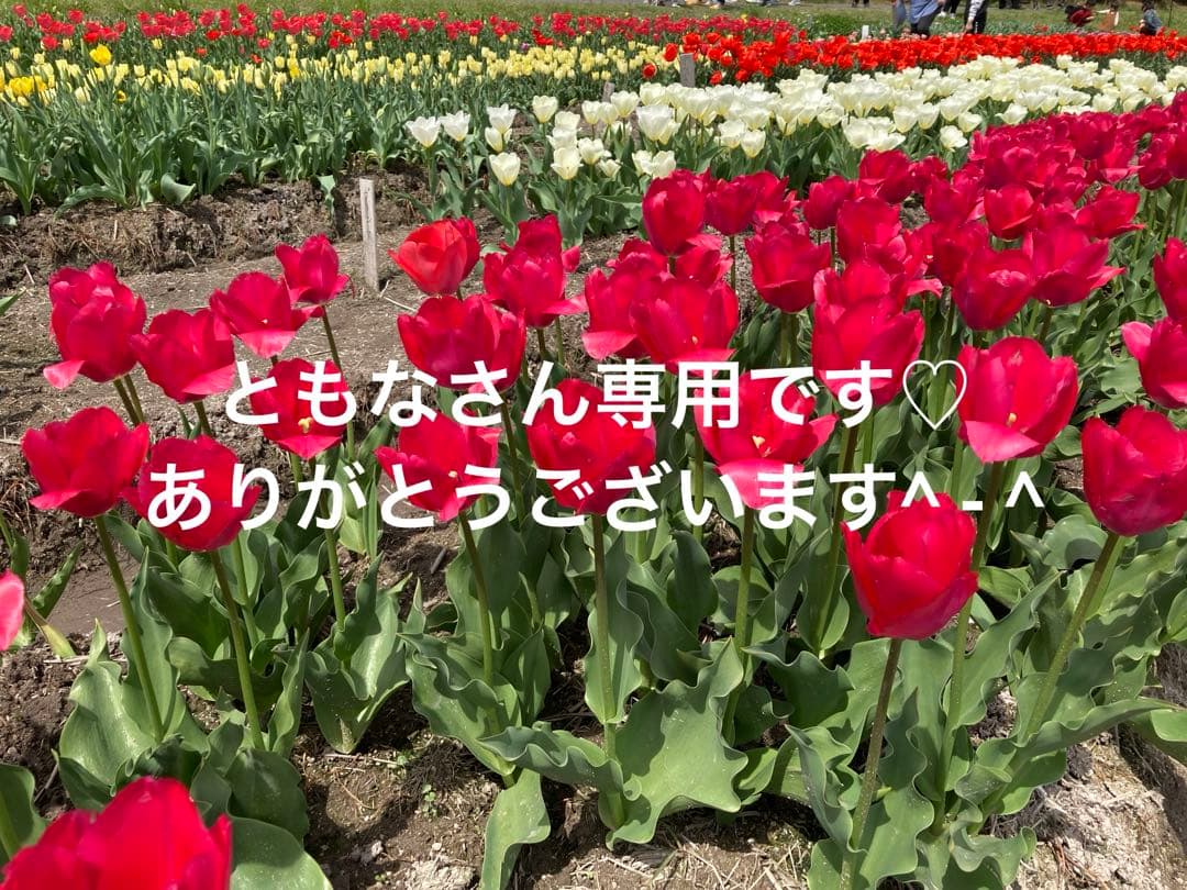 ともなさん専用です♡