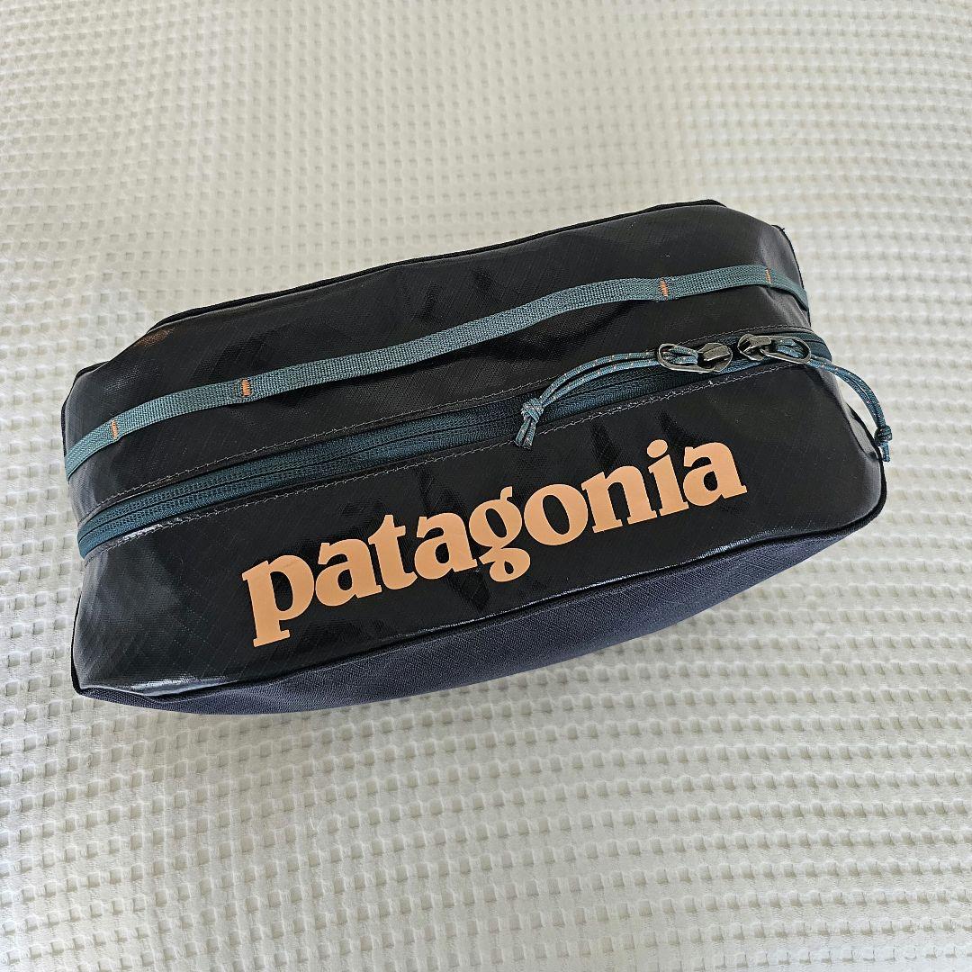 Patagonia ブラックホール キューブ ラージ 10L ポーチ ギアバッグ