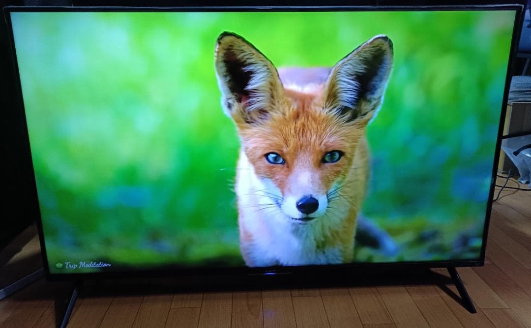 値下げ‼️24年製 FUNAI firetv 50型FL-50UF560