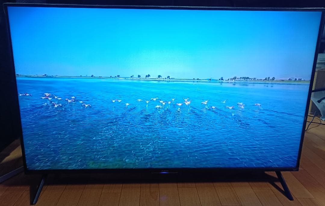 値下げ‼️24年製 FUNAI firetv 50型FL-50UF560
