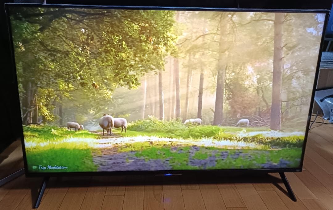 値下げ‼️24年製 FUNAI firetv 50型FL-50UF560