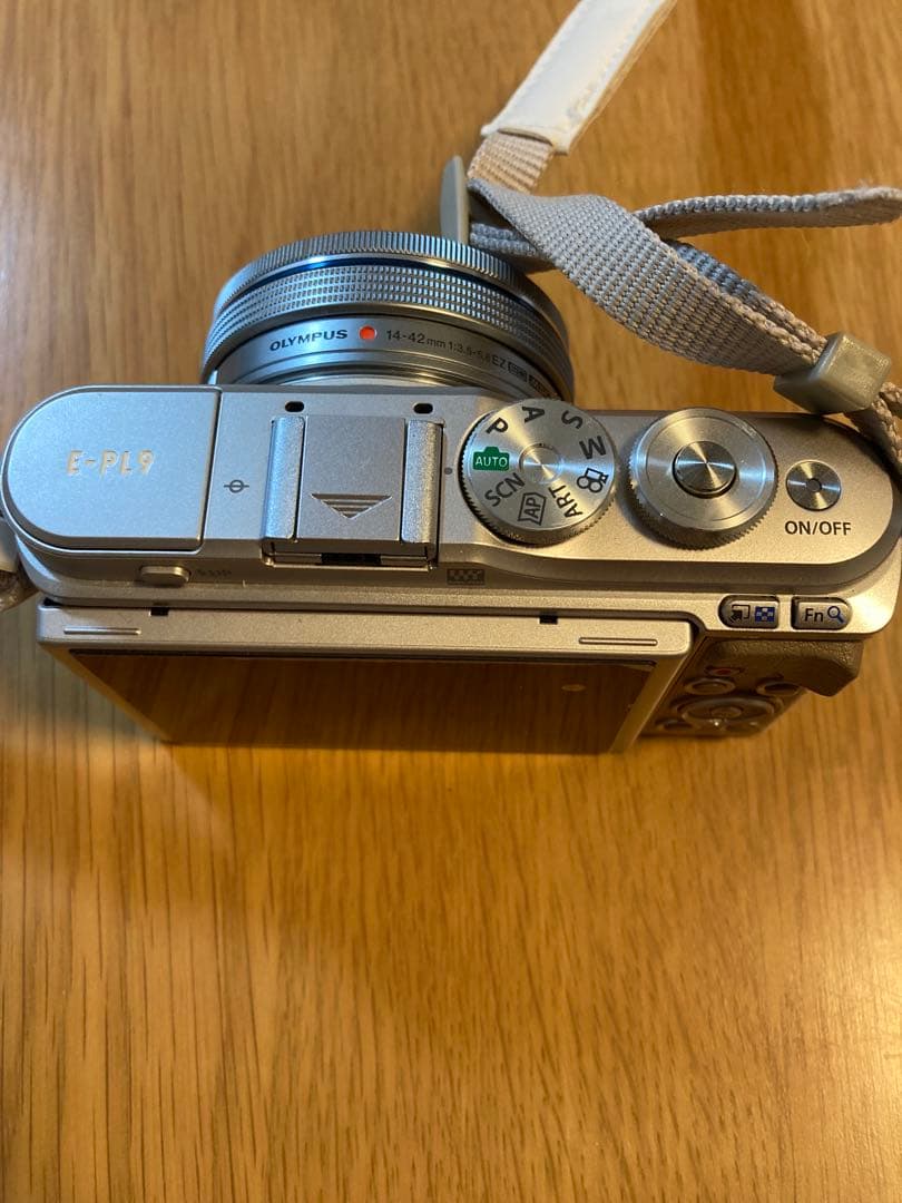 OLYMPUS PEN E-PL9 ミラーレス一眼