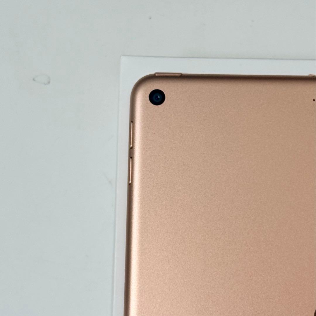 iPad mini 第5世代　256GB Wi-Fiモデル　美品