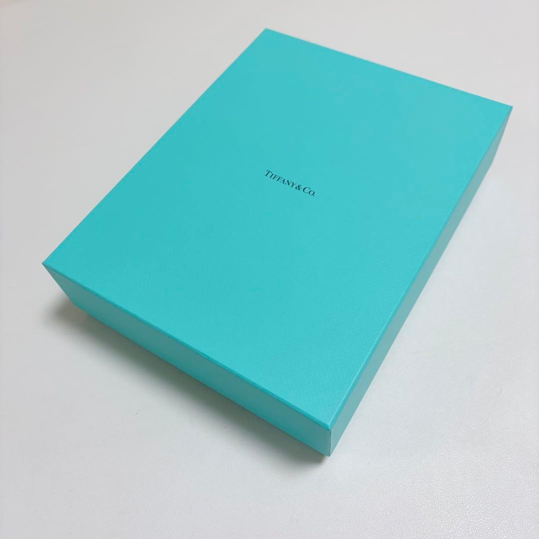 美品　希少　ティファニー　ネックレスケース　空箱　ジュエリー入れ