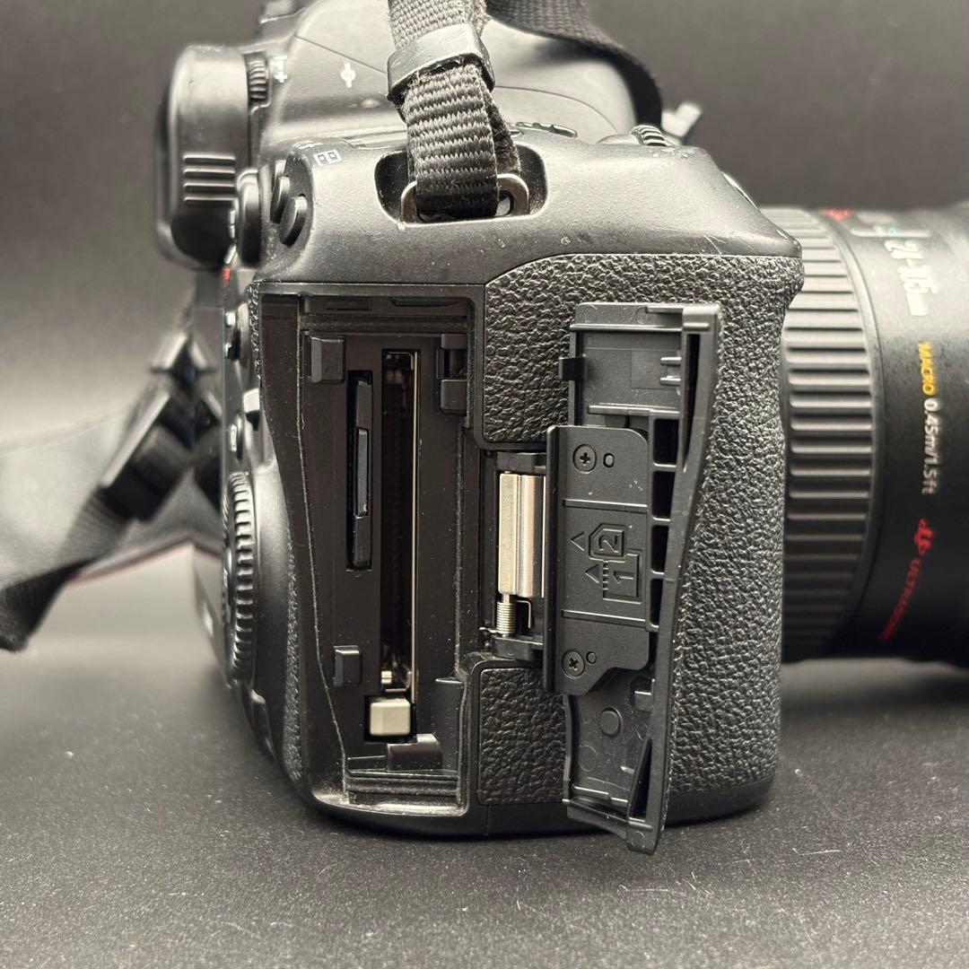 Canon EOS 5D Mark IV + EF 24-105mm 動作品