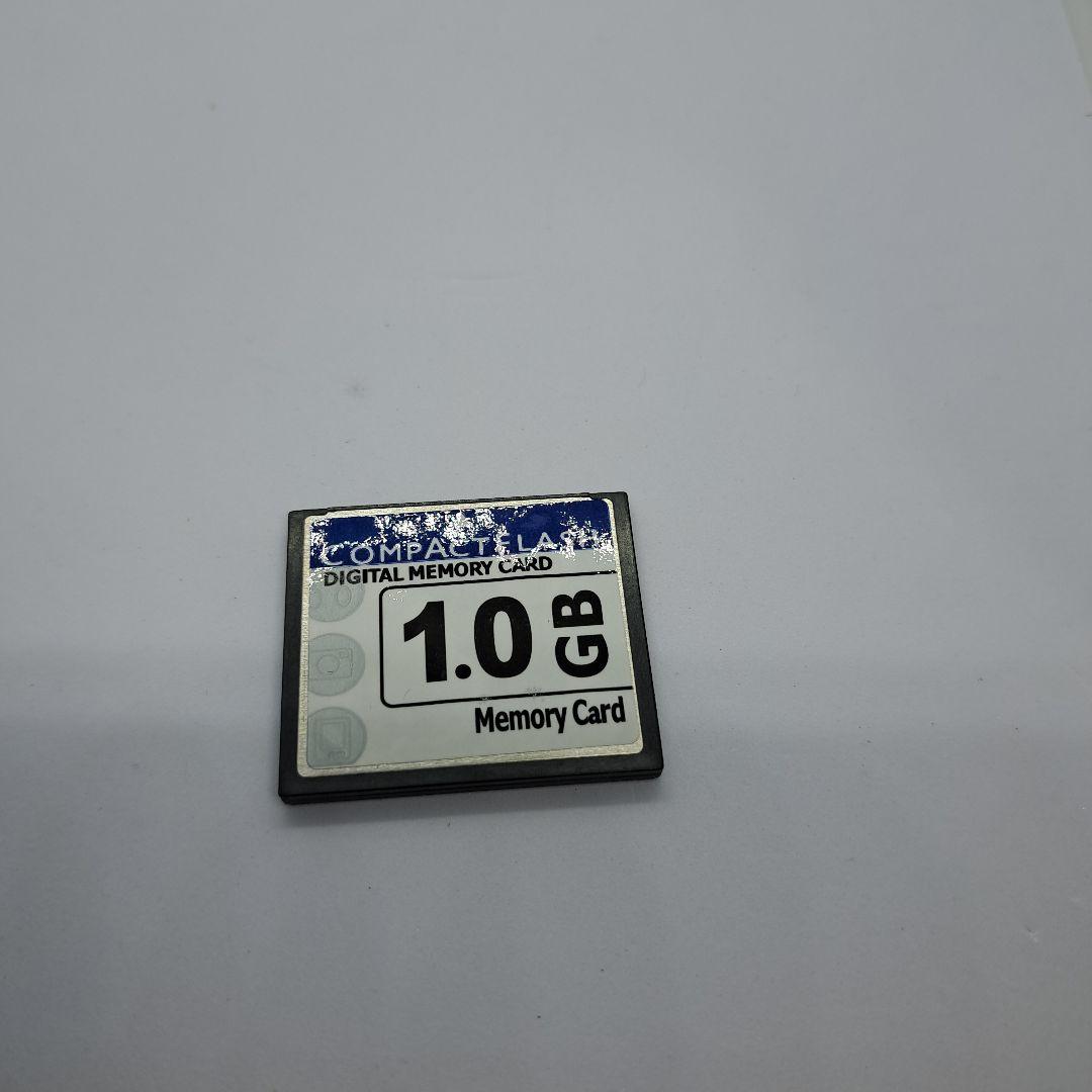 Nikon D100 デジタル一眼レフ 標準ズーム ストロボセット 最終処分
