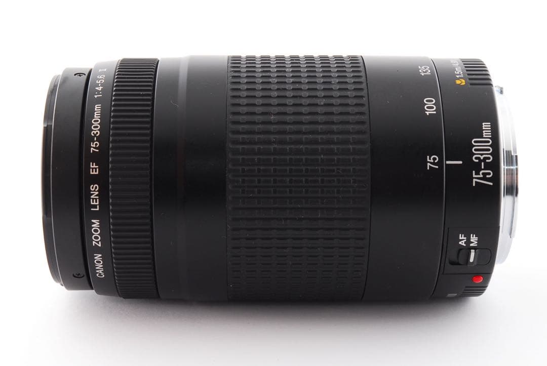 動作好調 キャノン CANON EF 75-300mm F4-5.6 Ⅱ