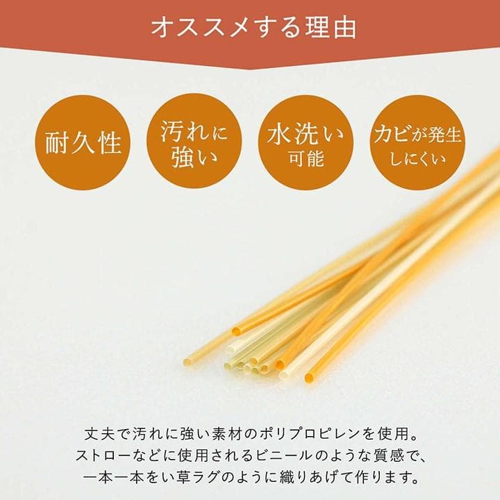 ペット用 ベージュ カーペット 除菌 国産PP 江戸間6畳 畳 日和 ベージュ