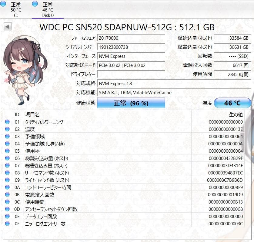 【動作確認済】ウエスタンデジタル NVMe M2 SSD SN520 512GB