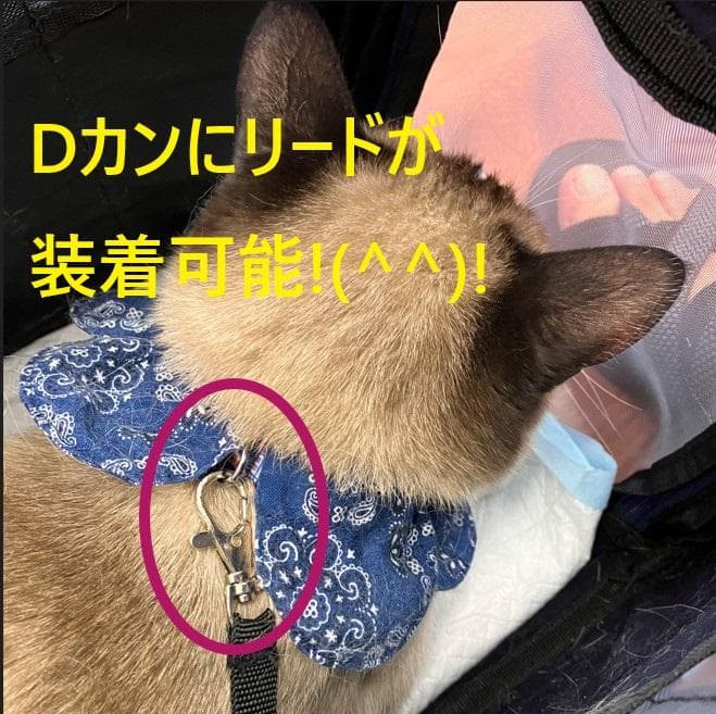 愛ちゃん様オーダー品／首輪式ザビエル10点セット
