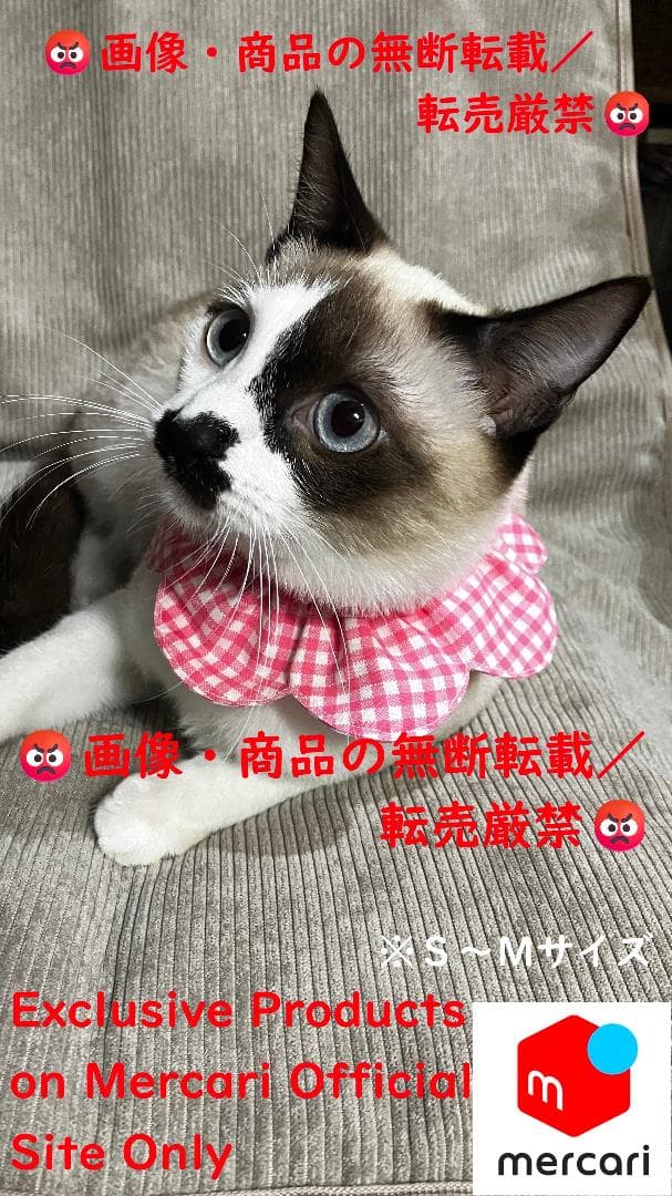 愛ちゃん様オーダー品／首輪式ザビエル10点セット