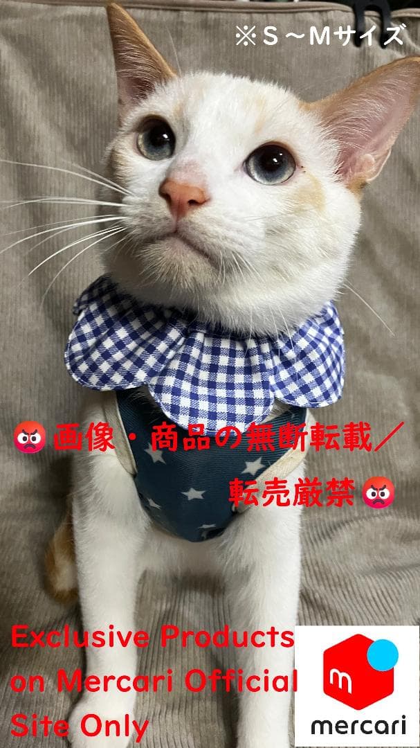 愛ちゃん様オーダー品／首輪式ザビエル10点セット