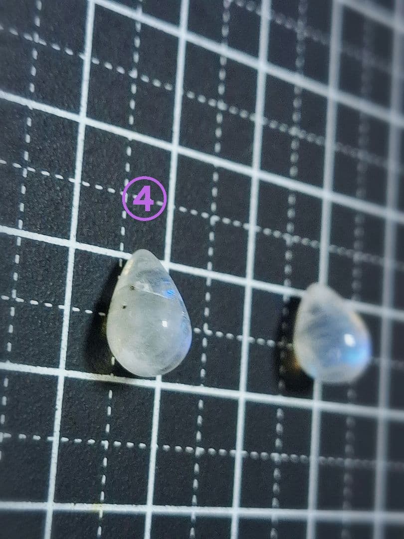 せろり様 ご確認ページ