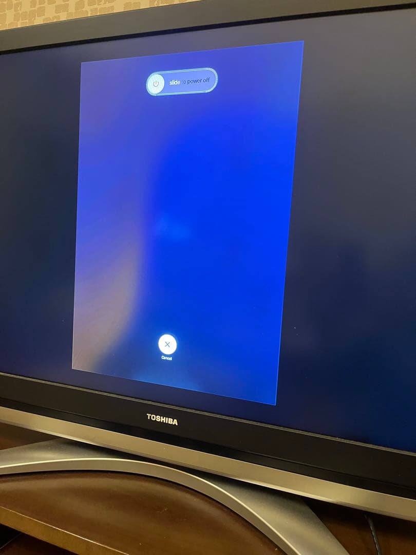 【ジャンク品】値下げ❗️Apple iPad Pro第1世代　256G