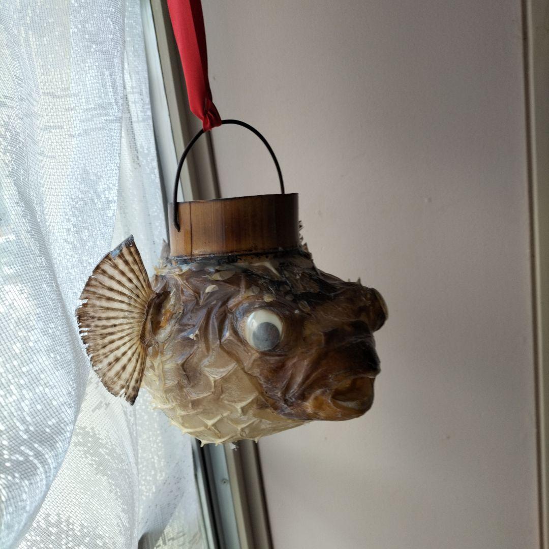 魚の形のインテリア装飾、石垣フグの フグちょうちん