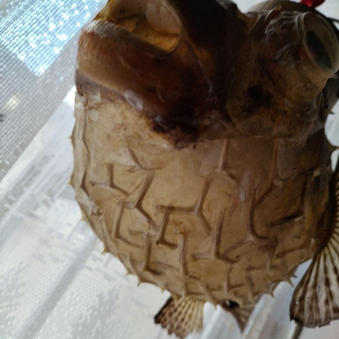 魚の形のインテリア装飾、石垣フグの フグちょうちん