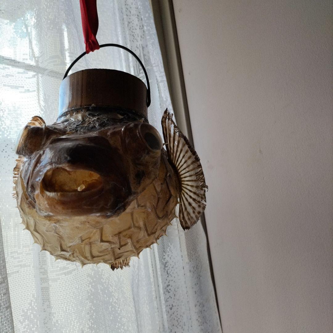 魚の形のインテリア装飾、石垣フグの フグちょうちん