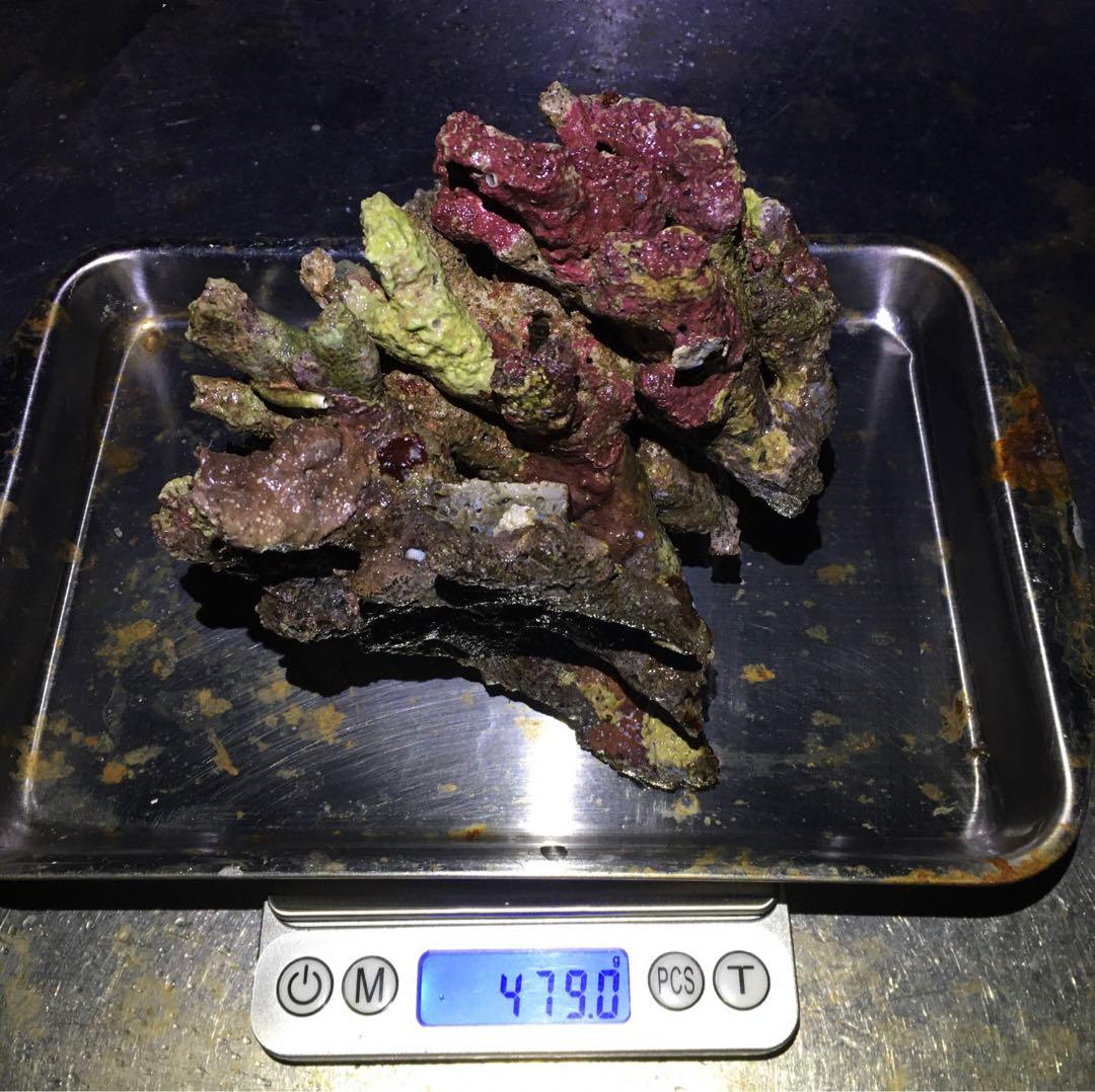 ライブロック　約4.5kg