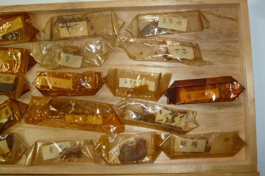 希少　珍品　昔の 植物サンプル　桐箱入り　現状