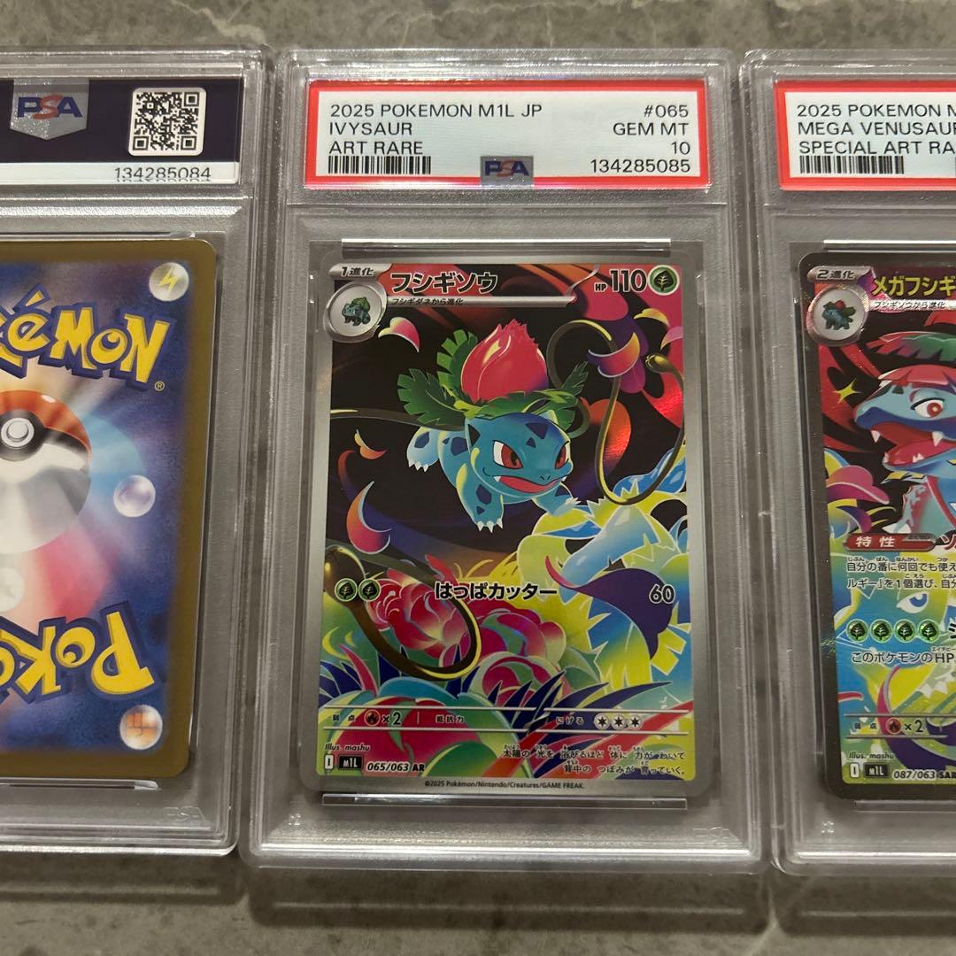 メガフシギバナex【PSA10連番】セット