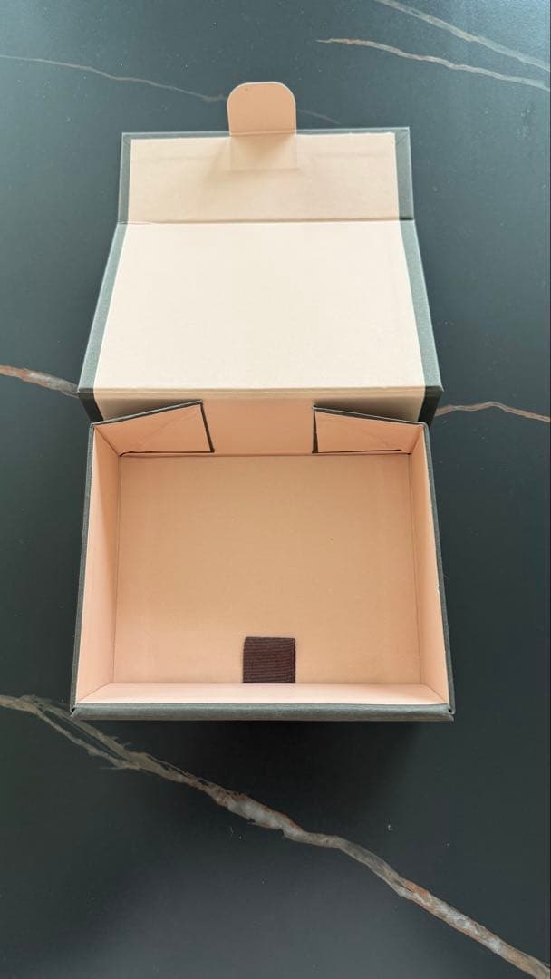 【新品未使用】DELVAUX デルヴォー 空箱・保存袋・紙袋・リボン セット