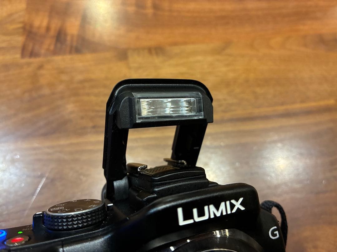 Wi-Fi付き　LUMIX G5 ミラーレスカメラ ボディと付属品