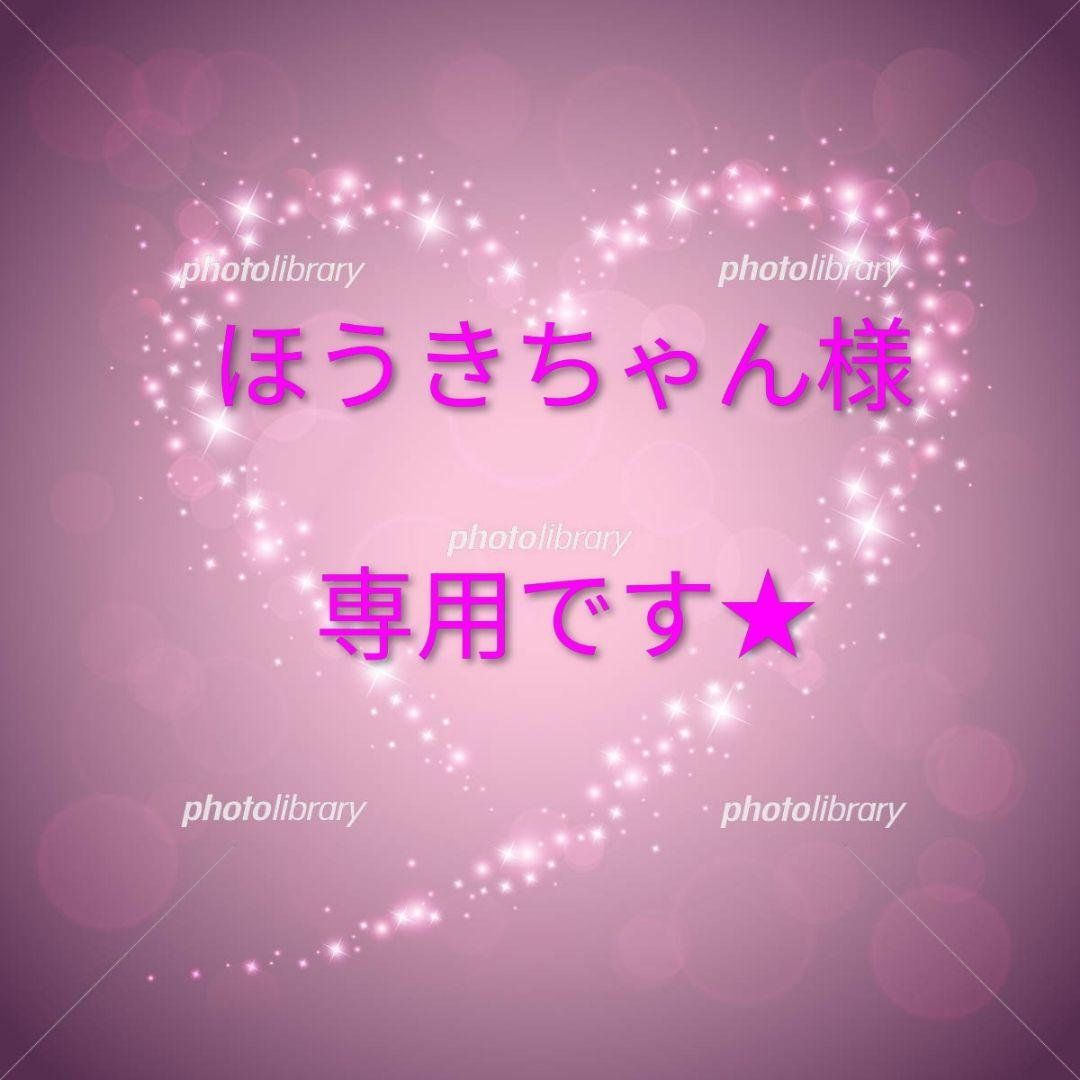★新発売★ナリス化粧品　マジェスタ　Wクレンジングフォーム１００g★２本