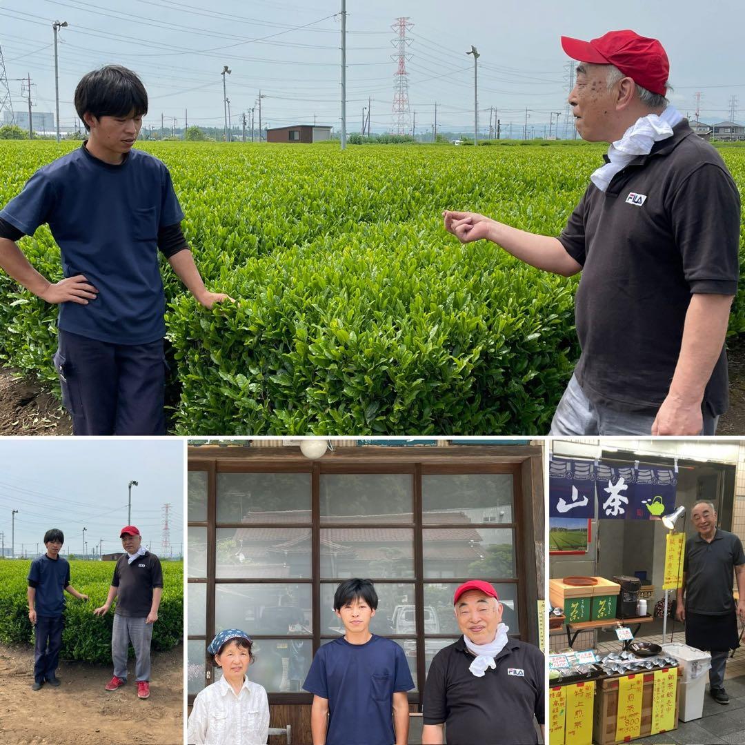 【狭山茶】茶畑直販☆特上煎茶100gx6本(令6年産)深蒸し茶 緑茶 日本茶お茶