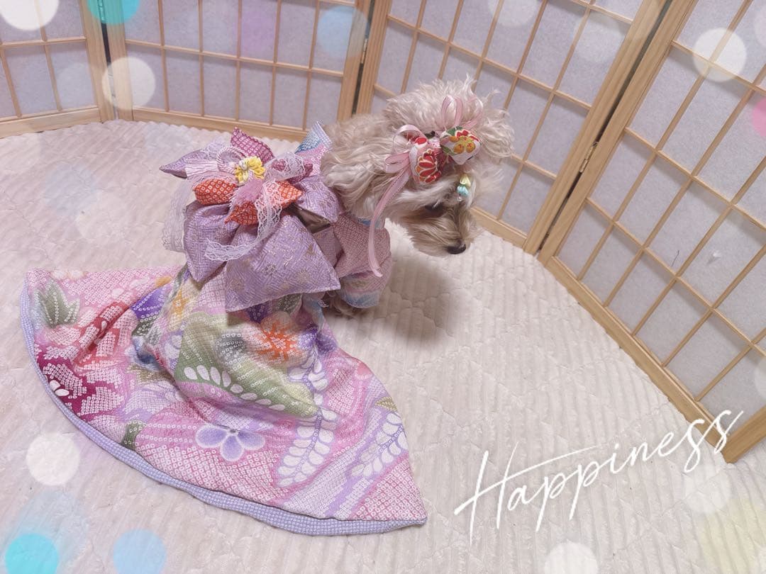 B469.pon2pan2☆犬オーダーお着物☆正絹有松絞りお着物☆犬お着物