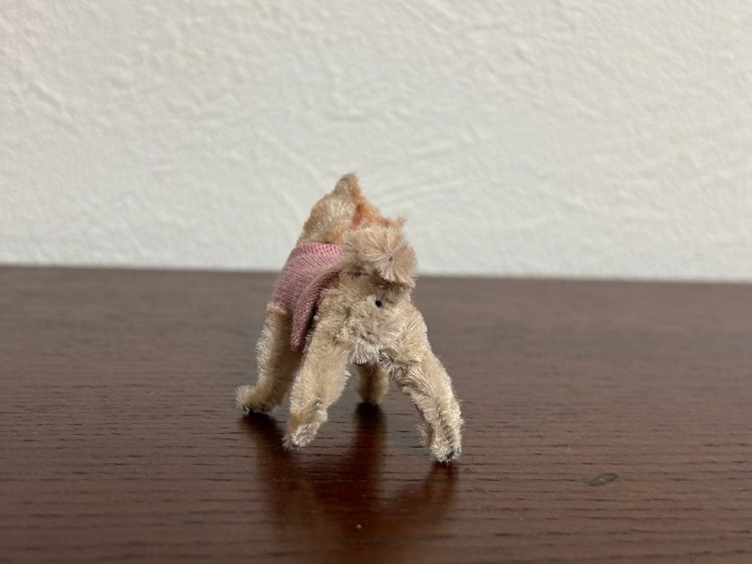 モールアート「 ん？」のお顔の柴犬ちゃん