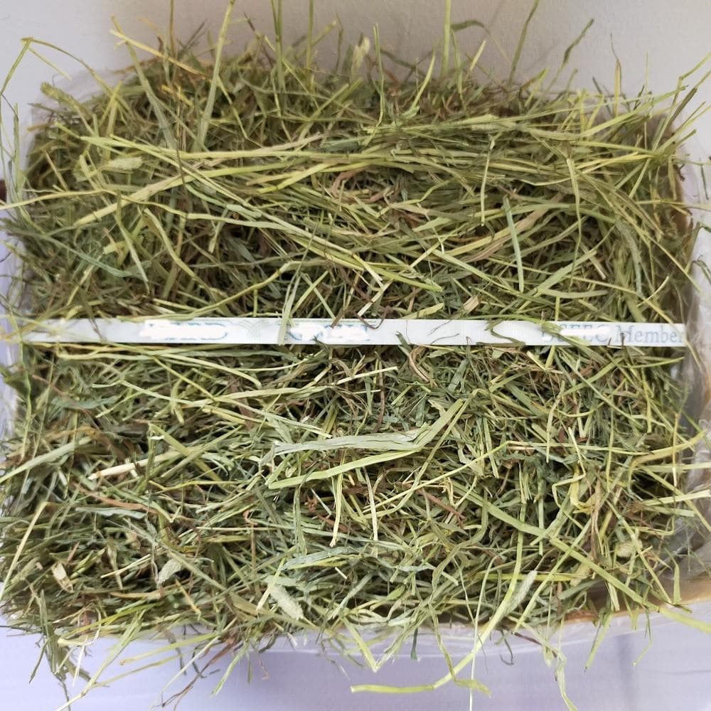 【9/16まで】US産 チモシー 30kg ２番刈 ソフトSプレミアム