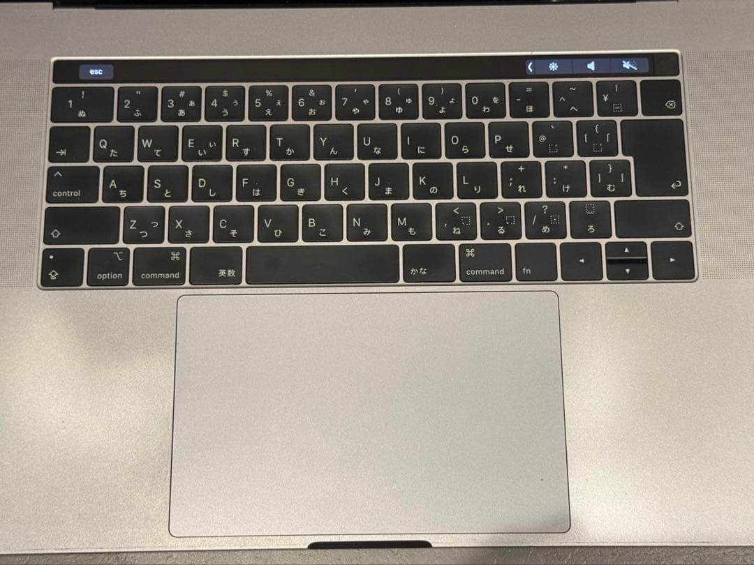 【完動品】MacBook Pro 15インチ 2019年 256GB 16GB
