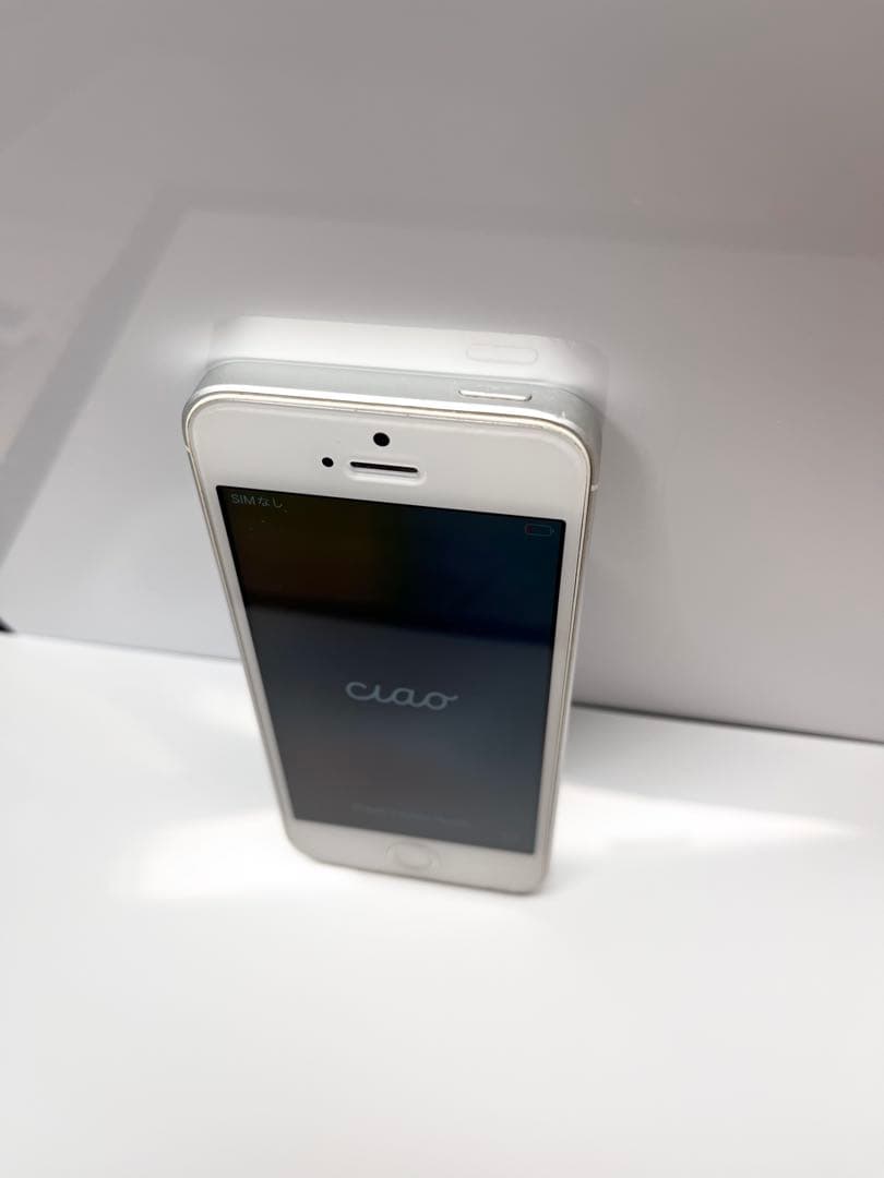 【SIMロック解除済】 iPhoneSE 64GBシルバー（箱・説明書付）