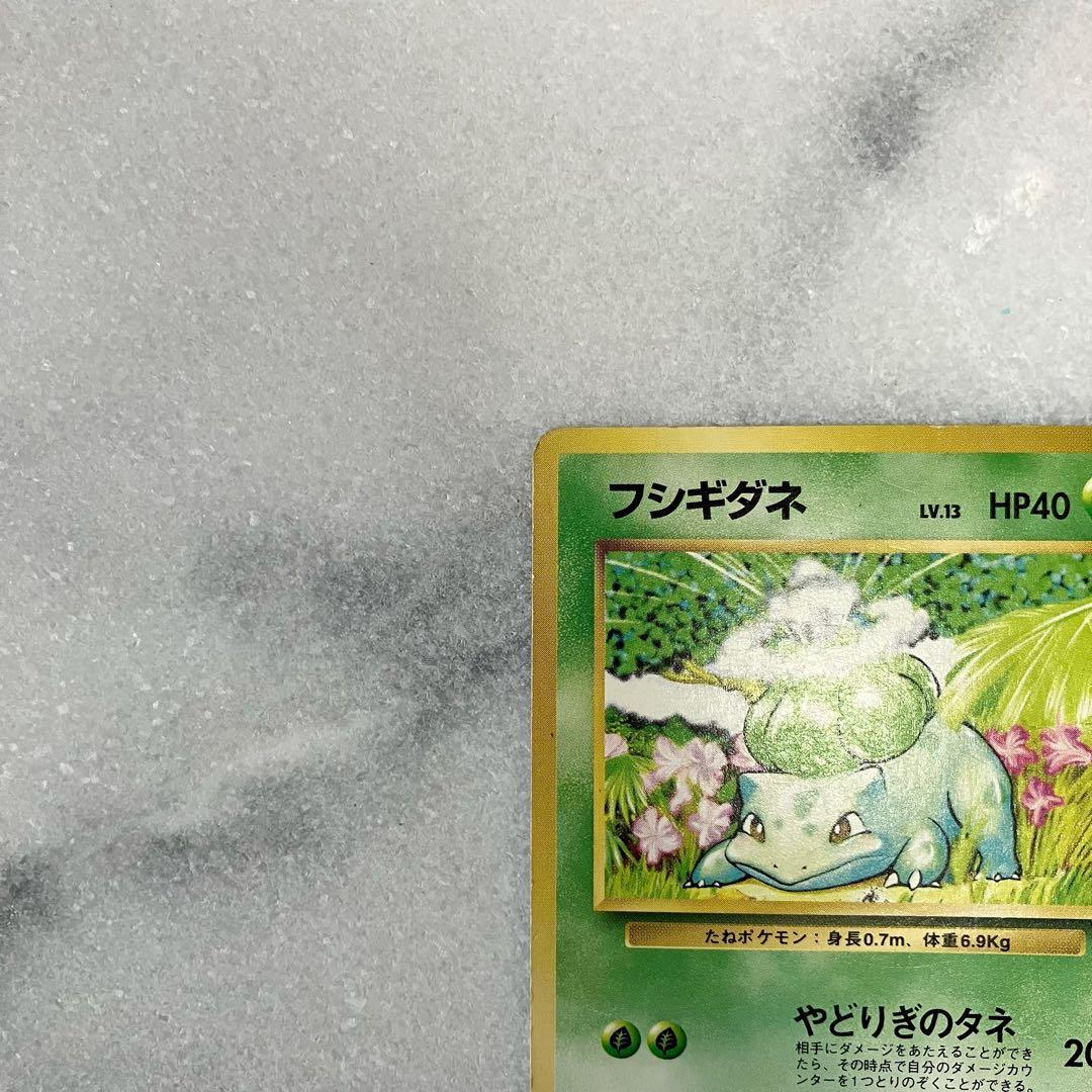 【初版】 フシギダネ 旧裏　ポケモンカード　マークなし Excellent