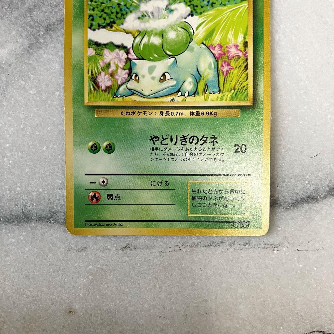 【初版】 フシギダネ 旧裏　ポケモンカード　マークなし Excellent