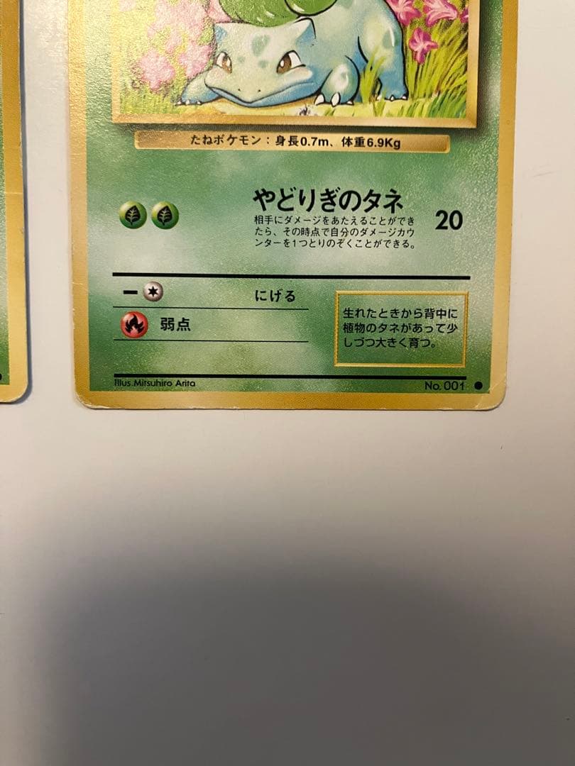 フシギダネ　旧裏　マークあり